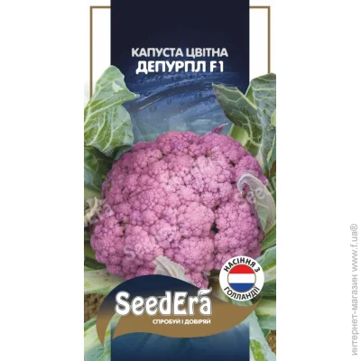 Seedera     F1 10 . (4823114403385)