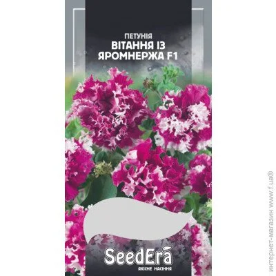 Seedera     F1 10 . (4823073726150)