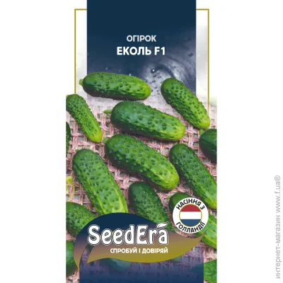 Seedera   F1 10 .