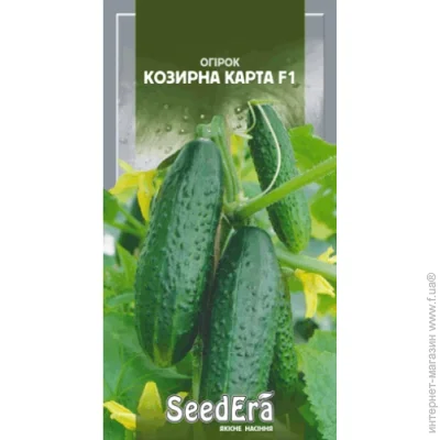 Seedera     F1 10 . (4823073711941)