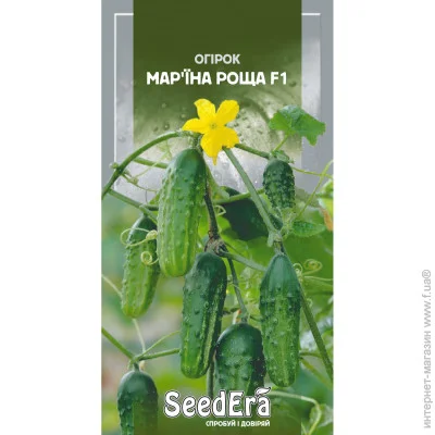Seedera   '  F1 10 . (4823073711965)