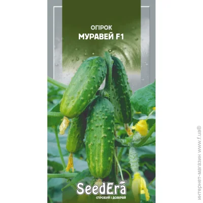 Seedera    F1 10 . (4823073711910)