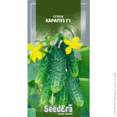 Seedera    F1 10 . (4823073714232)