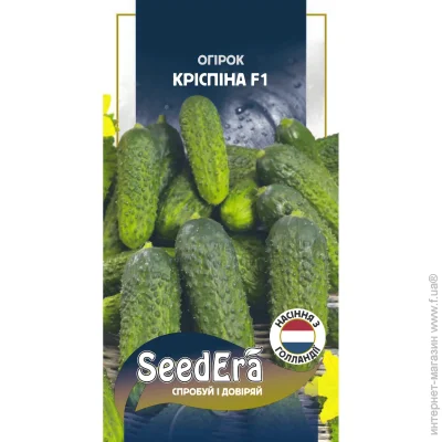 Seedera   F1 10 .