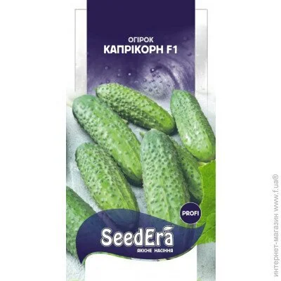 Seedera    F1 10 .