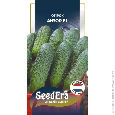 Seedera   F1 10 .