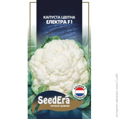 Seedera     F1 20 . (4823114403392)