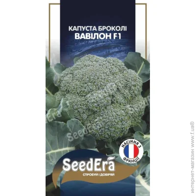 Seedera     F1 20 . (4823114402968)