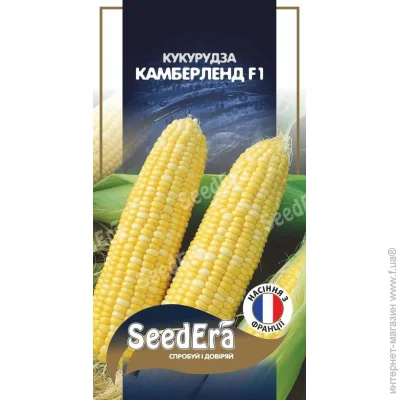 Seedera    F1 20 . (4823114403002)