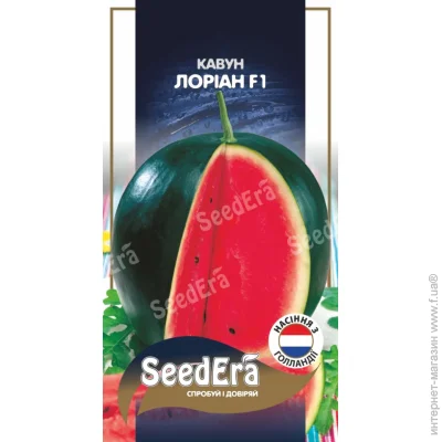 Seedera    F1 5 . (4823114403330)