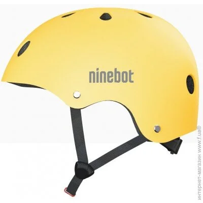     Segway ( ) (AB.00.0020.51)