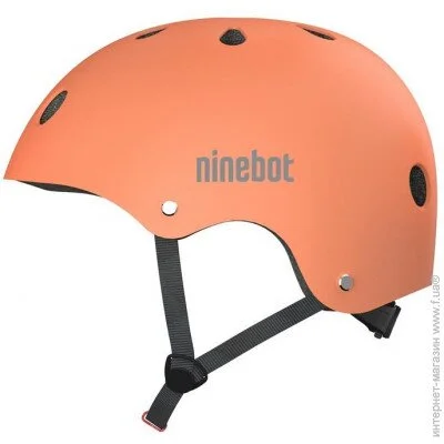     Segway ( ) (AB.00.0020.52)