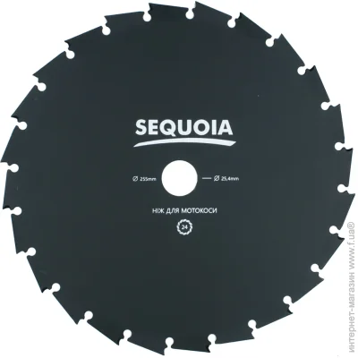  Sequoia   GB24-255