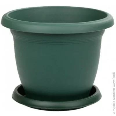 Serinova    VILLA FLOWER 9  22   (V509GREEN 11651)