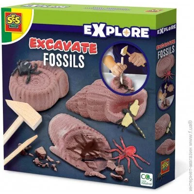 SES Creative "-   ""  , . (25066S)