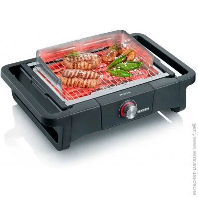   Severin PG 8123