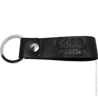 Shiynik     Audi