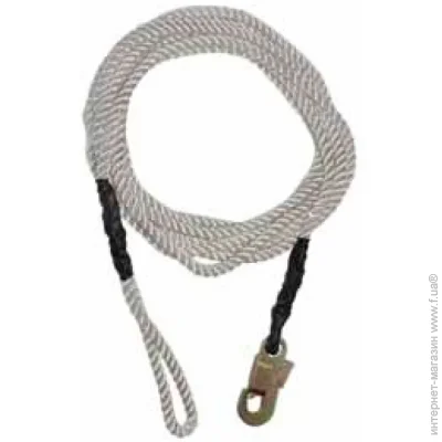   Sinew   12