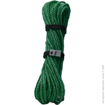 Sinew   3  10  (  )