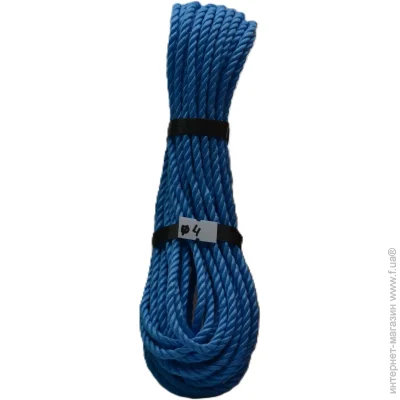 Sinew   4  10  (  )