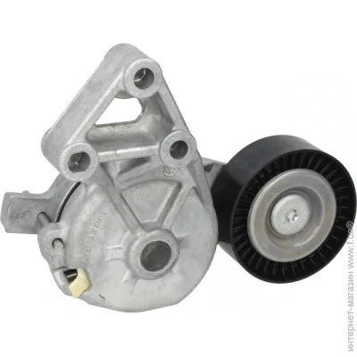   SKF VKM 31019 (VKM31019)