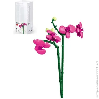  Sluban  Pleyerid  261 . M38-B1101-12 261 .