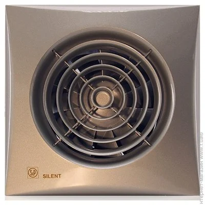   Soler & Palau Silent-200 CZ Champagne