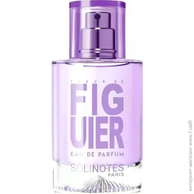     Solinotes Figuier 50 