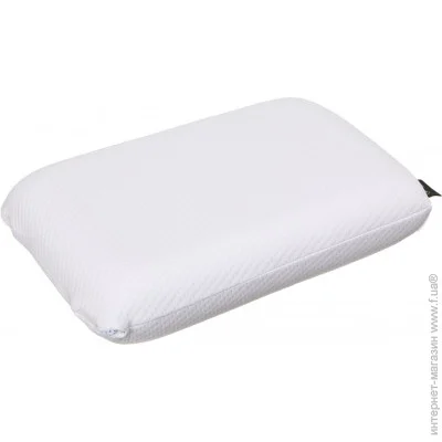  Songer Und Sohne ,    Classic 40x60  