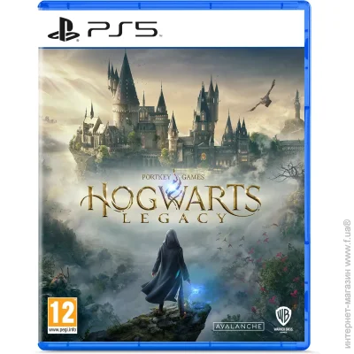  Sony PS5 Hogwarts Legacy, BD  (5051895413425)