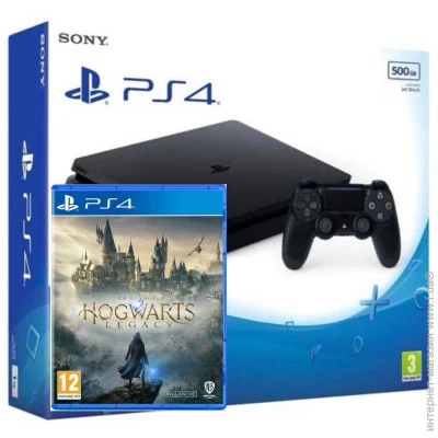     Sony Playstation 4 Slim 500Gb +  Hogwarts Legacy ( ) (95725)