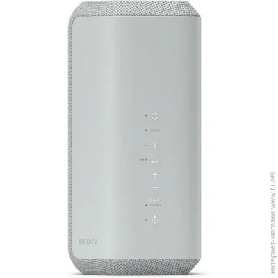     Sony SRS-XE300 Gray (SRSXE300H.RU2)