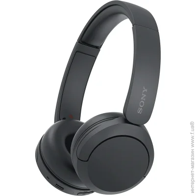  Sony WH-CH520 Black