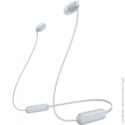 Sony WIC100W