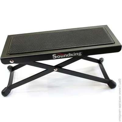   Soundking DG001