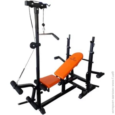 Spartan Sport   Spartan (9001741697871)