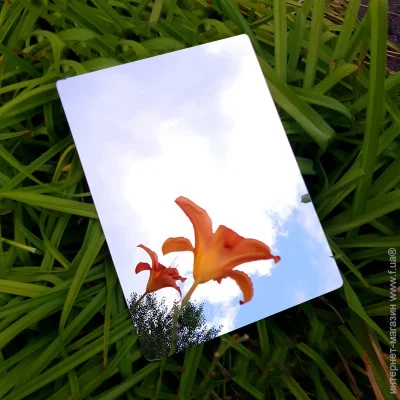 Sticker Wall     () 3D 30*40cm*2mm Silver (S) SW-00001523
