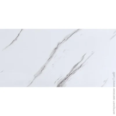 Sticker Wall      6003001,5