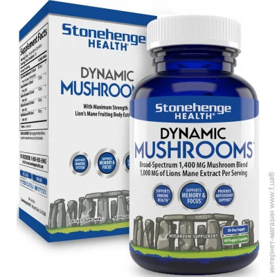 Спеціальна добавка Stonehenge Health Ноотропна добавка преміум-класу Dynamic Mushrooms 60 капсул Спеціальна добавка Stonehenge Health Ноотропна добавка преміум-класу Dynamic Mushrooms 60 капсул