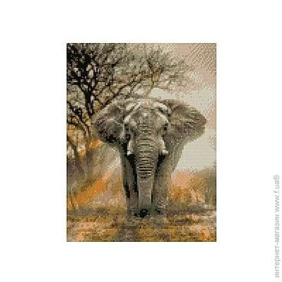 Strateg Алмазна мозаїка "Могутній слон" (HX205) Strateg Алмазна мозаїка "Могутній слон" (HX205)