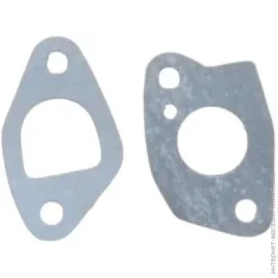 Sturmax        168F (PG168F-GK)