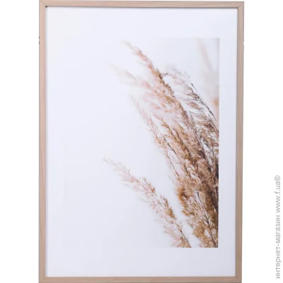 Styler   50x70  OB-14040