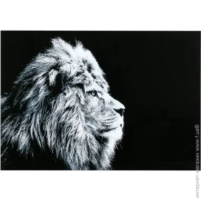 Styler     70x100  GL-00214