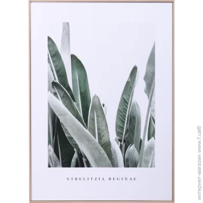 Styler  Bali 50x70  OB-14049