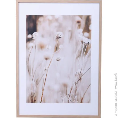 Styler  Dry flowers 50x70  OB-14039