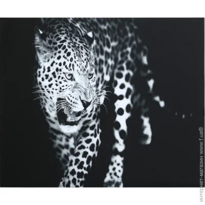 Styler  Leopard  70x100  GL-00216