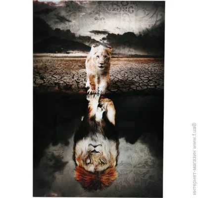 Styler    Lions 80x120  GL-12646