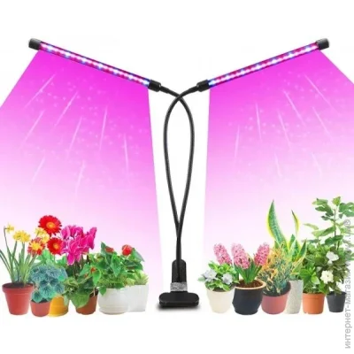   Supretto    LED  20      . (2099342053)