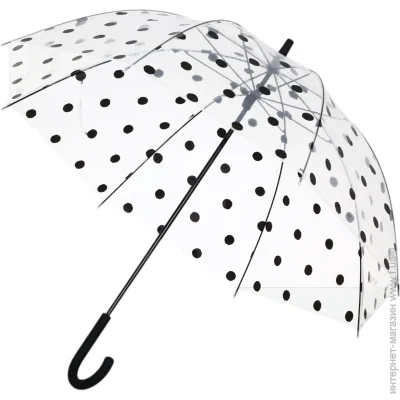  Susino    D 48   8  (23663)