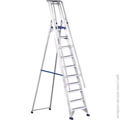' Svelt Regina Special (SREGISP10) , 10 ,  , 